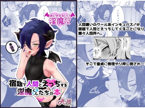 宿題で人間とえっちする淫魔くん♂たちの本 〜ぼくの可愛い淫魔くん編〜 cover