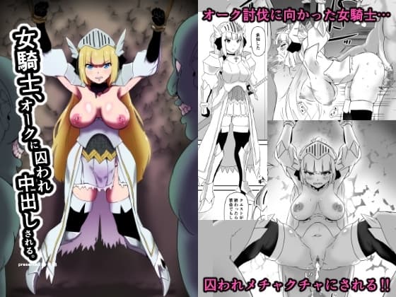 女騎士、オークに囚われ中出しされる。 cover