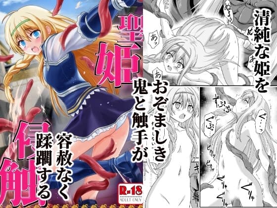 聖姫侵触 cover