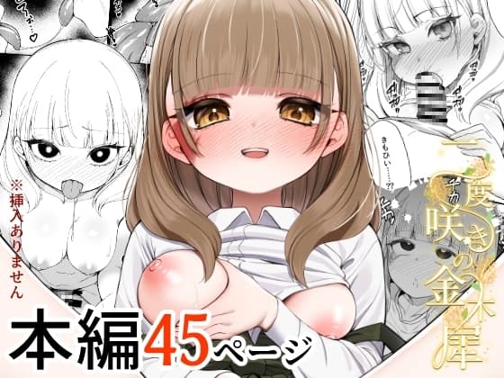 二度咲きの金木犀 cover