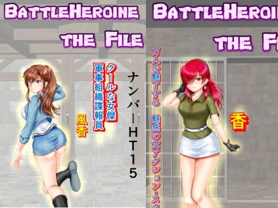 BattleHeroine The File V7 ナンバーHT15・HT20・HT25 cover