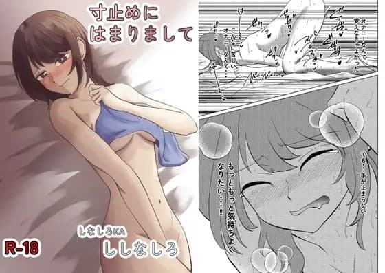 寸止めにはまりまして cover