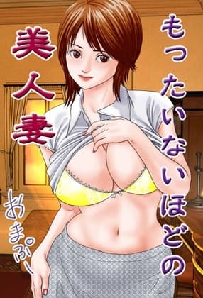 ノベルもったいないほどの美人妻 cover