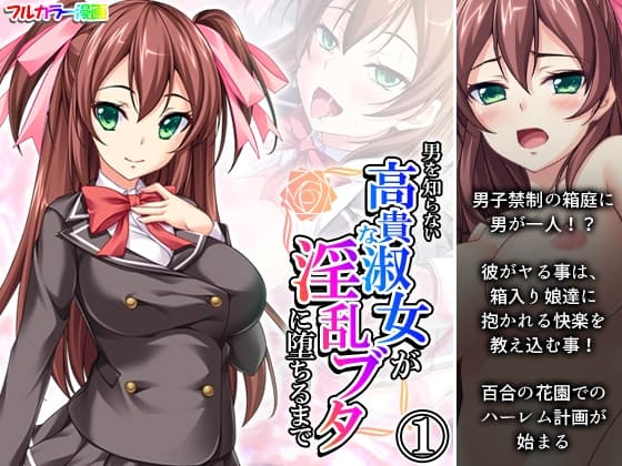 男を知らない高貴な淑女が淫乱ブタに堕ちるまで 1巻 cover