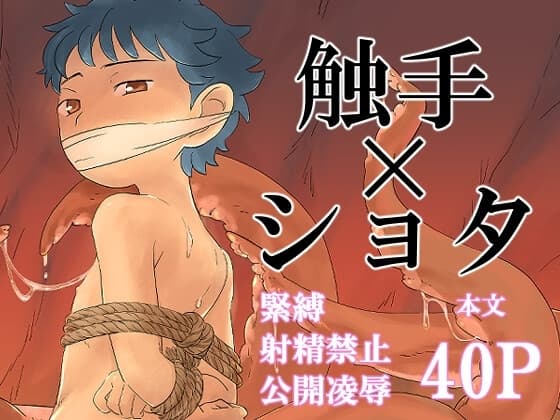 淫らな羊 cover