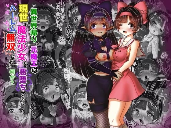 vol.14 異世界帰りの元魔王は現世で魔法少女を悪堕ちさせてハーレム無双しますが何か?【ポニテお姉ちゃん編】 cover