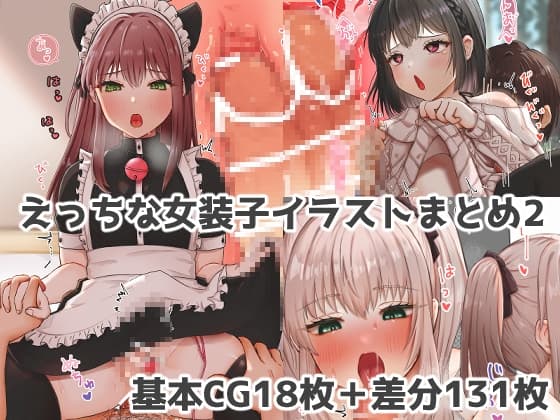 えっちな女装子イラストまとめ2 cover