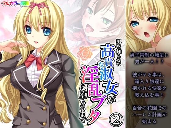 男を知らない高貴な淑女が淫乱ブタに堕ちるまで 2巻 cover