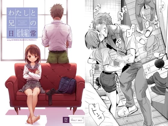 わたしと兄の日常 総集編1 cover