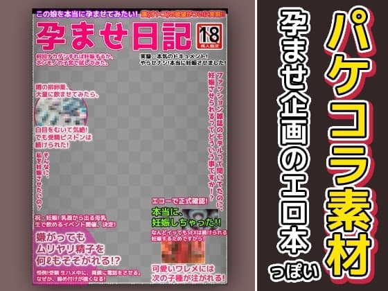 エロ本風パケコラ素材～「孕ませ日記」 cover