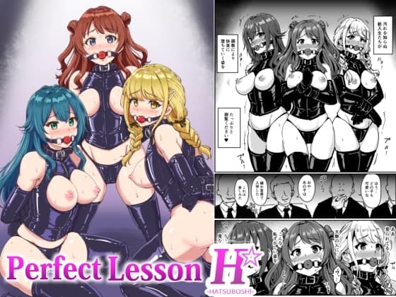 PerfectLessonH cover