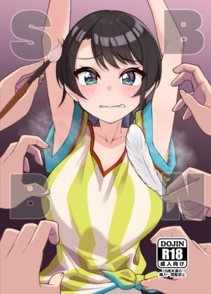 SBBN+追加差分本 cover
