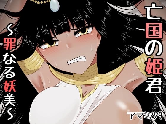 亡国の姫君～罪なる妖美～ cover