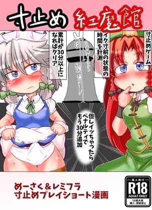 寸止め紅魔館 cover