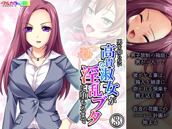 男を知らない高貴な淑女が淫乱ブタに堕ちるまで 3巻 cover