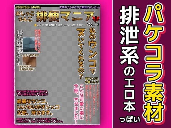 エロ本風パケコラ素材～「排便マニア」 cover