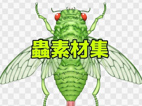 蟲素材集 cover