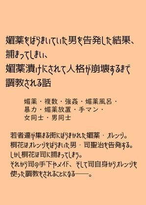 媚薬オレンジシリーズ 人格崩壊媚薬調教 桐花編・聖司編 cover