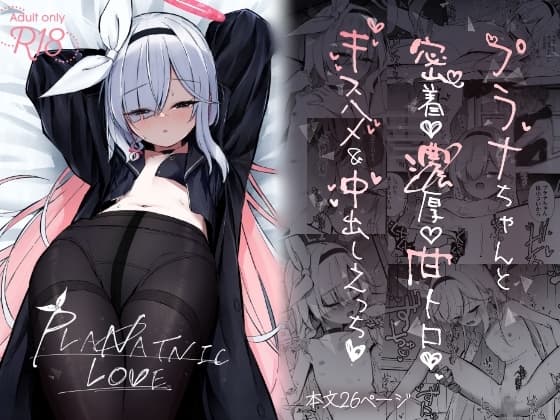 PLANATNIC LOVE cover