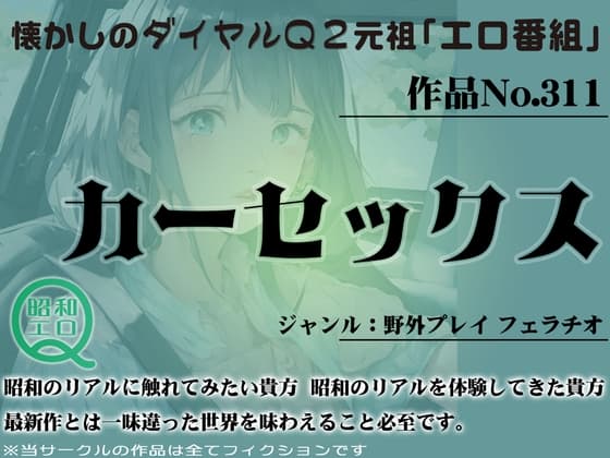 作品No.311 カーセックス cover