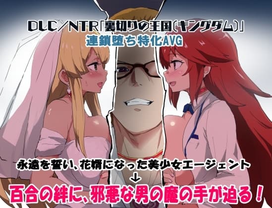 エージェントシリウス DLC/NTR「裏切りの王国(キングダム)」 cover
