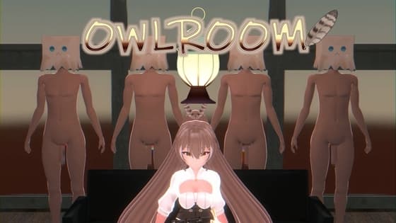 OwlRoom cover