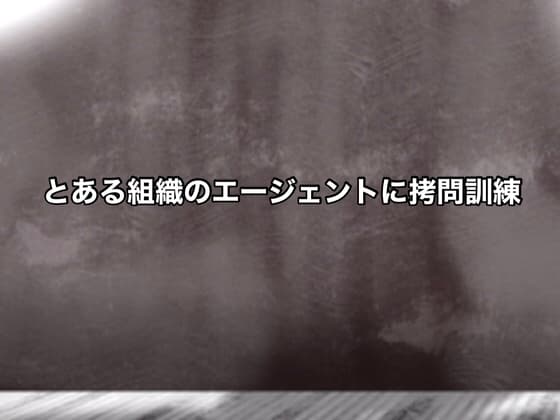 とある組織のエージェントに○問訓練 cover