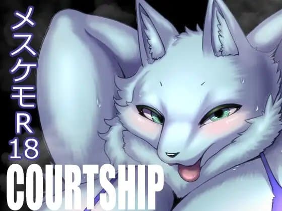 COURTSHIP cover