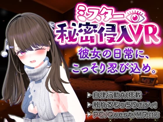 【VR】ミスター秘密侵入VR ―SNSの裏側、彼女の家に忍び込んだら、トイレもベッドも覗き見放題…―【Quest単体/PCVR対応】 cover