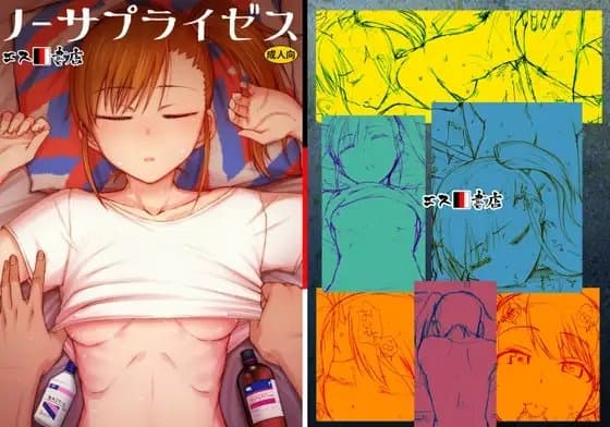 ノーサプライゼス cover