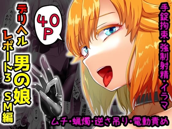 デリヘル男の娘レポート3 SMお仕事のボク cover