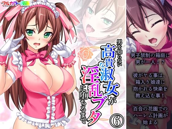 男を知らない高貴な淑女が淫乱ブタに堕ちるまで 6巻 cover