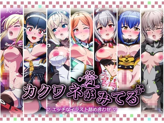 カクワネがみてるvol,67 cover