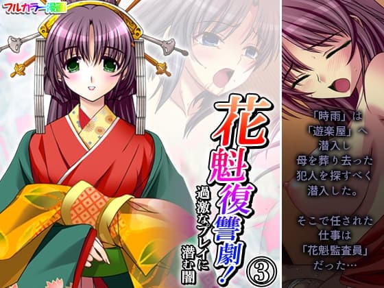 花魁復讐劇!過激なプレイに潜む闇 3巻 cover