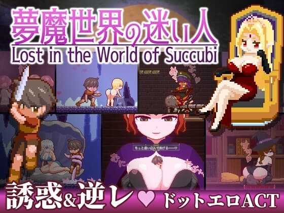 夢魔世界の迷い人 cover
