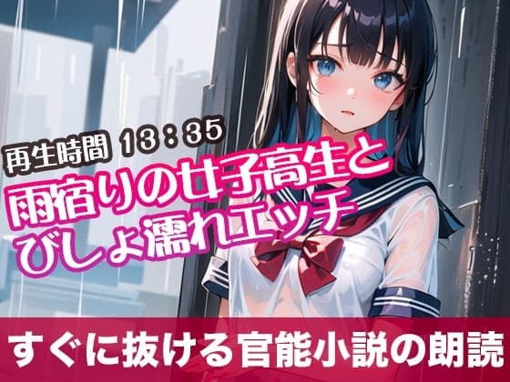 雨宿りの女子高生とびしょ濡れエッチ【すぐに抜ける官能小説の朗読】 cover