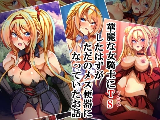 華麗な女騎士にTSしたはずがただのメス便器になっていたお話 cover