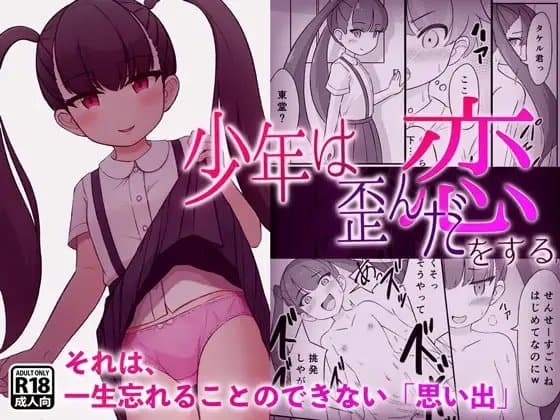 少年は歪んだ恋をする cover