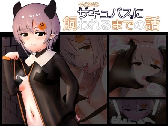 その辺のサキュバスに飼われるまでの話 cover