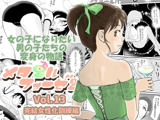 メタモルフォーゼ21vol.13 cover