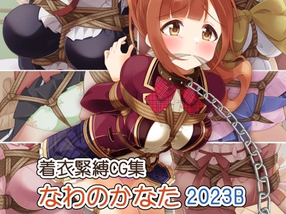 着衣緊縛CG集 なわのかなた 2023B cover