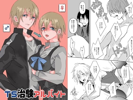 TS治験アルバイト cover
