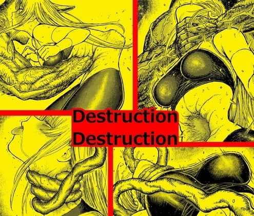 Destruction Destruction ヒロイン首絞め完全敗北 cover