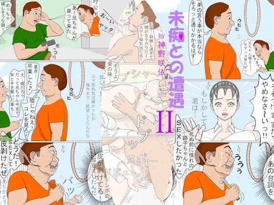 未痴との遭遇2 cover