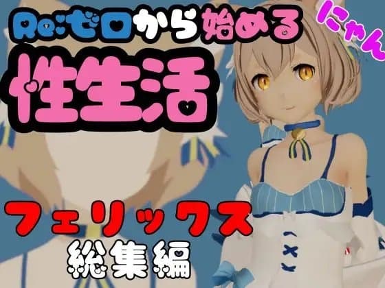 fate:フェイトのフェリックス動画バラエティパック【5本】 cover