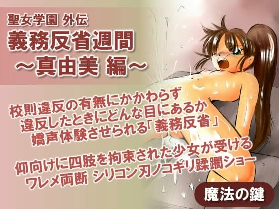 聖女学園外伝 義務反省週間 ～真由美 編～ cover