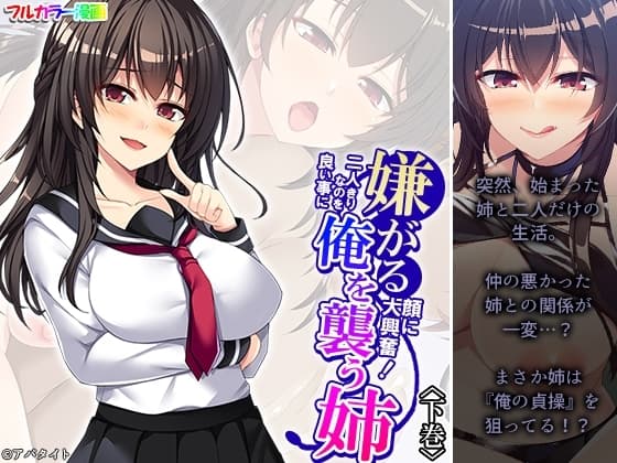 嫌がる顔に大興奮!二人きりなのを良い事に俺を襲う姉 下巻 cover