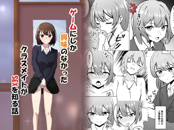 ゲームにしか興味のなかったクラスメイトがSEXを知る話 cover