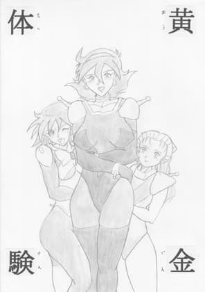 黄金体験 cover