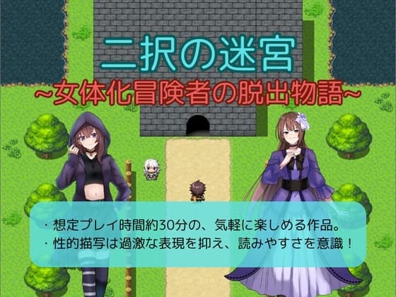 二択の迷宮～女体化冒険者の脱出物語～ cover